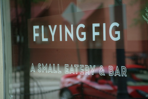 Flying Fig