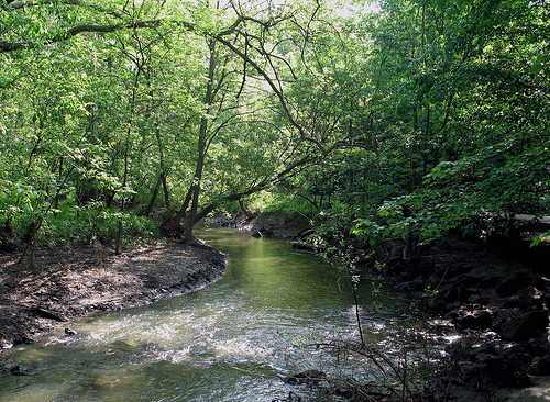 Ottawa River - Wildwood Metropark